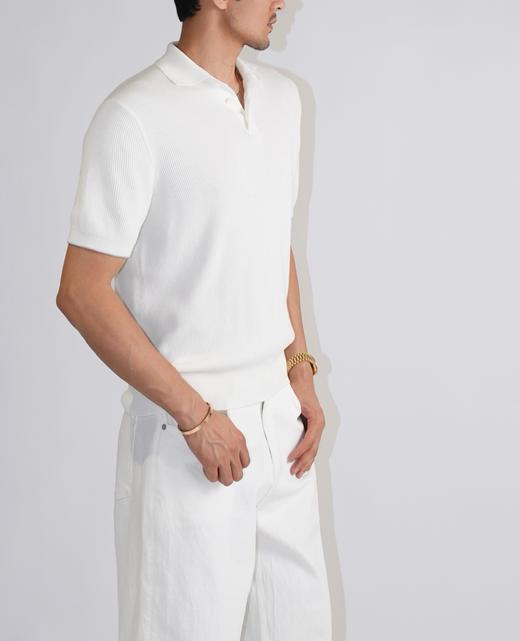 男款短袖针织Polo衫ba006 商品图3