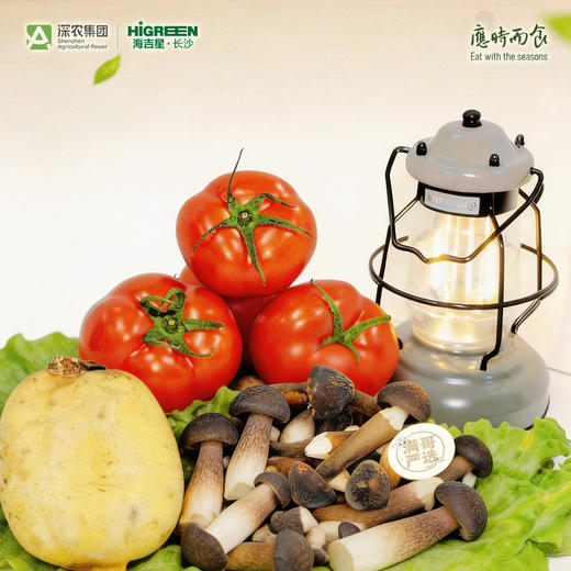 应时而食-蔬菜盒子 商品图5