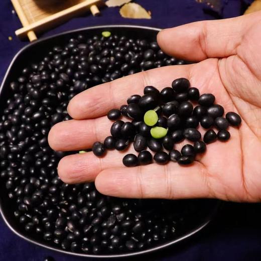 紫燕百味鸡当归黑豆 商品图1