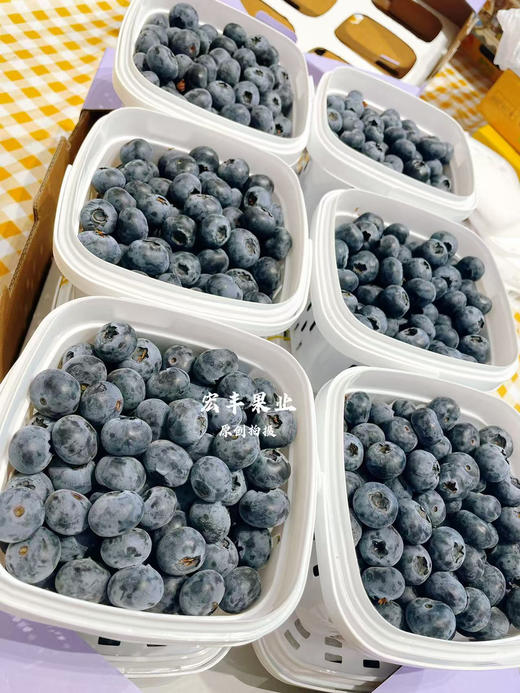 宏丰精选 云南花香蓝莓，口感纯甜，超级好吃，活动价39.9一桶 商品图9
