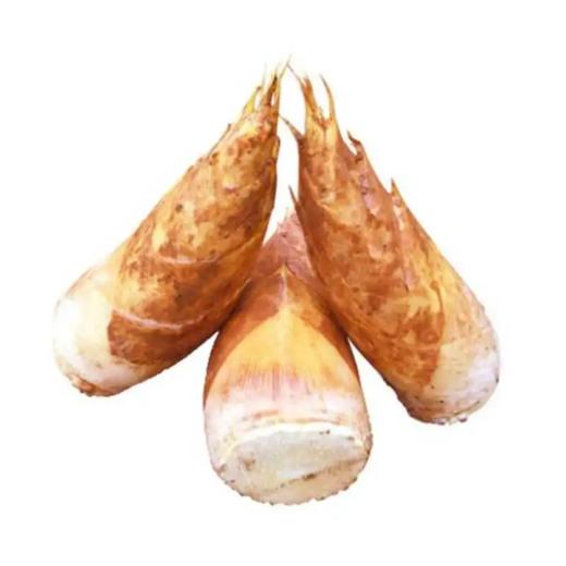 【超市】百盛鲜蔬达 春笋约800g 商品图0