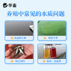 华畜硅藻种源500g 低温藻种肥水培饵 活力强繁殖快 可搭配肥水膏使用 商品缩略图1