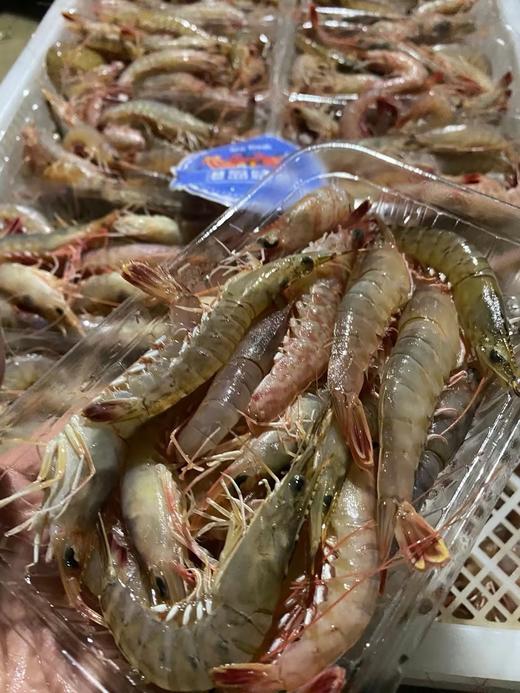 海捕野生杂虾【新鲜活冻】 商品图2