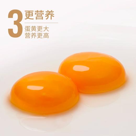 广视农场绿壳乌鸡蛋 口感鲜香30枚装 产地直发 新鲜到家 商品图5