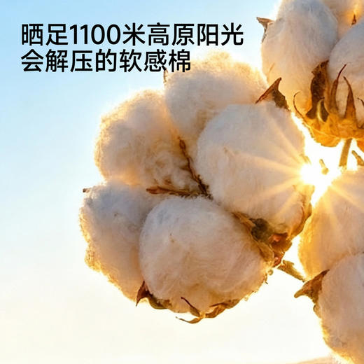 【商场同款】英氏女童套装夏季新款短袖短裤两件套纯棉儿童运动装 商品图1