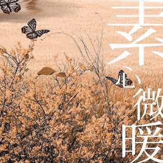 外部订单快递专拍链接