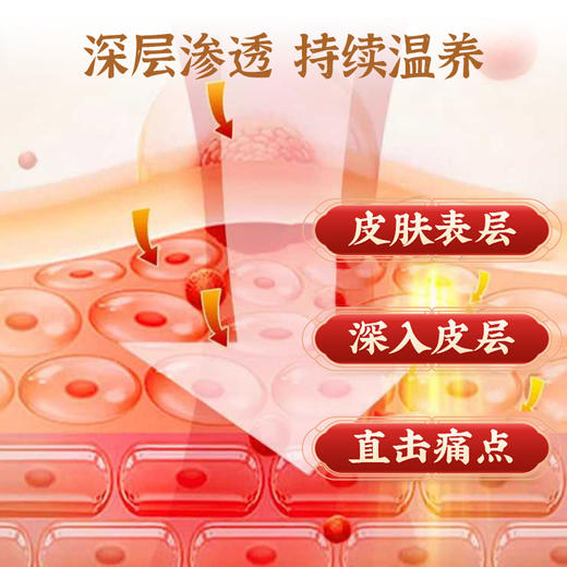 【夏养三伏❗️传承古法三伏贴】植物成分，科学配比，穴位贴敷，温灸养护！天艾灸贴穴位贴夏养儿童成人 商品图2