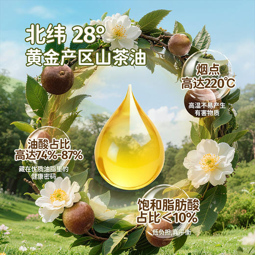 头厨香煎山茶油鸡排鸡胸肉非油炸儿童健康轻食冷冻速食半成品 商品图2