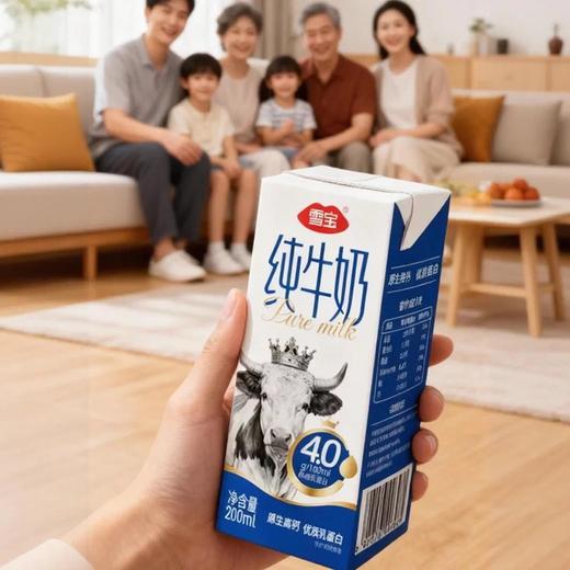 雪宝4.0纯牛奶 商品图2