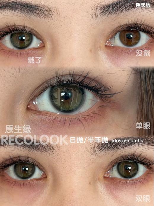 美轮美奂 原生棕/绿 日抛10片装 14.2 好看好看recolook 商品图3