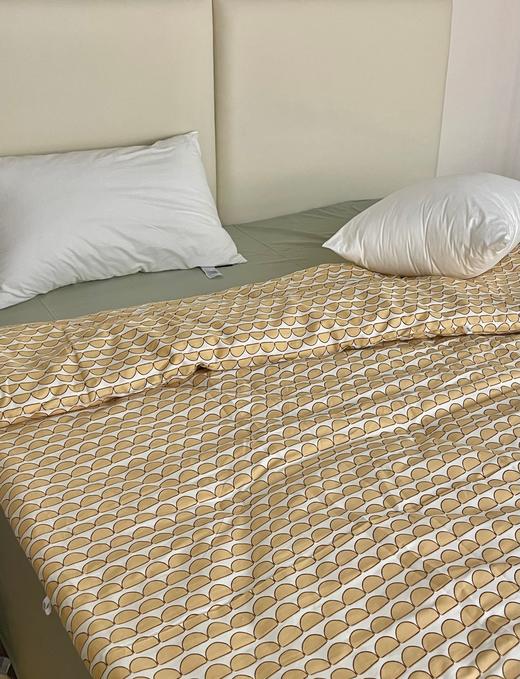 【清仓99元/床】全棉春秋被芯 4.5斤重适合22-25℃以上的温度【不支持退换货】 商品图1