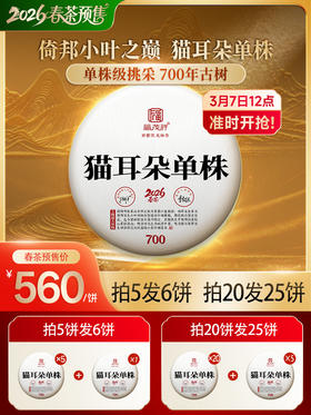 2026年春茶【猫耳朵单株】易武茶区猫耳朵古茶园700古树茶357克普洱生茶