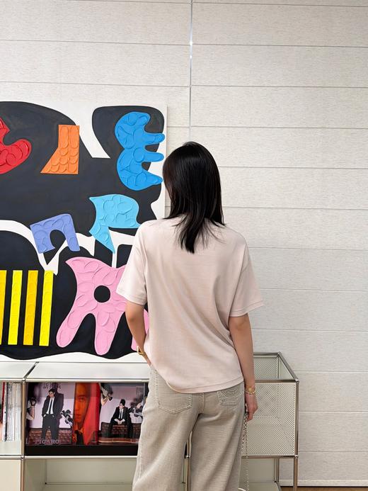 迪奥新款杏粉色棉质平纹布刺绣短袖T恤（KX） 商品图5