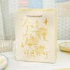 纸先生追光而行系列礼品袋中号 商品缩略图0