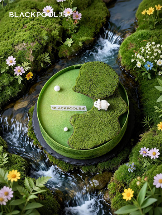 白羊座-春草生慕斯 | 黑池 商品图1