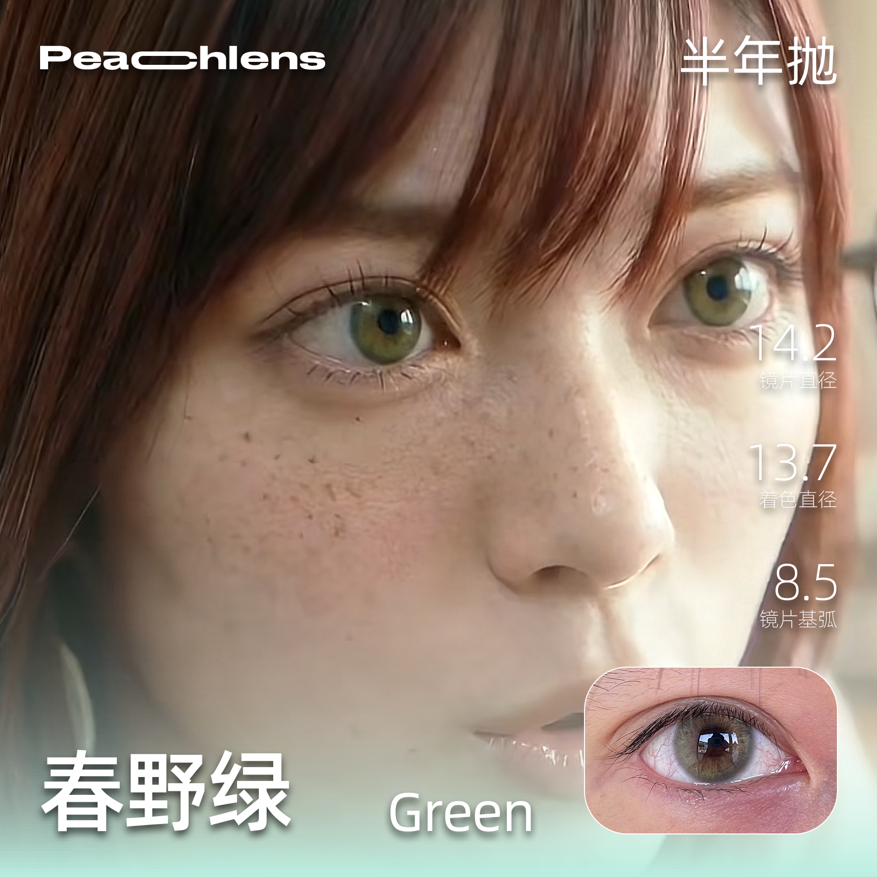 超融合绿色 春野 半年抛