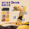 【甄选】豆叔黑豆煎饼精选7种谷物传统工艺粗粮细作 商品缩略图1