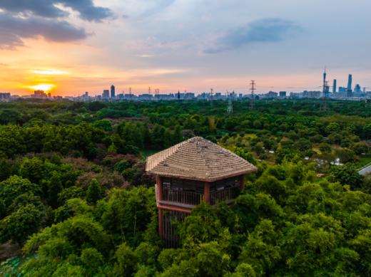 海珠湿地自然学校 |  自然×英语  系列主题课程  7-12岁 周六下午 商品图4