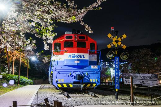 韩国樱花主题三飞8天摄影团：  济州岛、镇海、釜山、首尔的粉雪世界里定格浪漫光影 商品图5