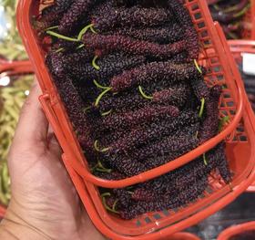 新鲜长条 黑桑葚 约350g/篮