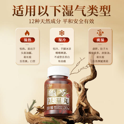 樂道NOTO龟苓祛湿丸土茯苓化湿排湿香港版30粒 商品图2