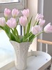 王朝粉郁金香10枝 商品缩略图0