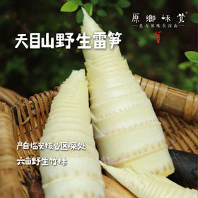 【排单发货中】天目山生态雷笋（基地直发-中通快递）|5斤装，来自浙江临安，采集者：潘新梅【合作生产，公平贸易】