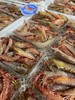 海捕野生杂虾【新鲜活冻】 商品缩略图1
