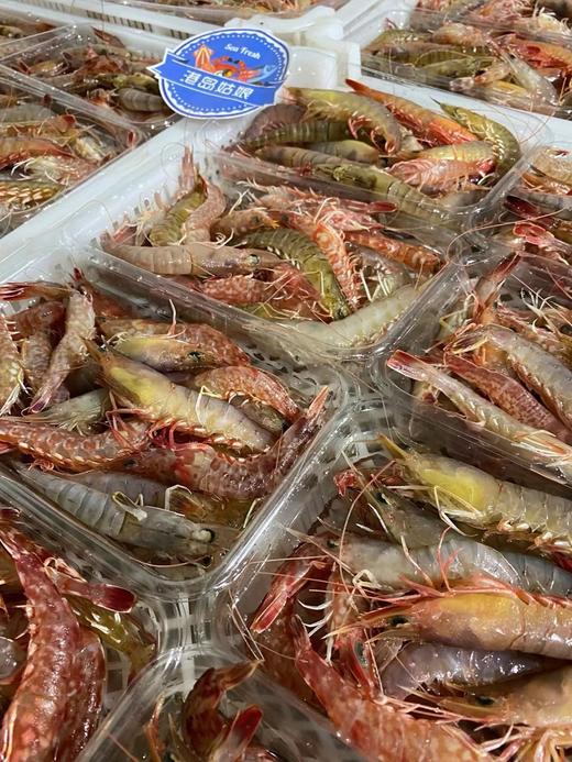 海捕野生杂虾【新鲜活冻】 商品图1
