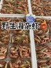 海捕野生杂虾【新鲜活冻】 商品缩略图0