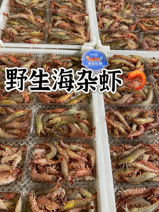 海捕野生杂虾【新鲜活冻】 商品图0