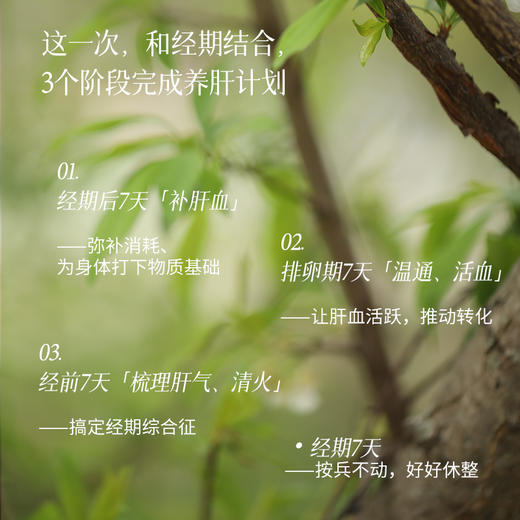 售完下架「21天养肝计划」顺着经期走 | 梳理气机 | 充盈气血 | 心情更舒畅 商品图2