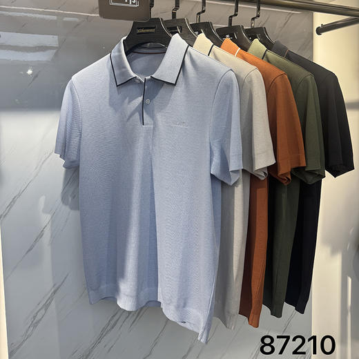 肌理感老钱风polo衫男士潮流简约通勤夏季百搭短袖上衣   XLM-CAC8687210 商品图6