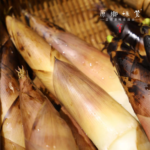 【排单发货中】天目山生态雷笋（基地直发-中通快递）|5斤装，来自浙江临安，采集者：潘新梅【合作生产，公平贸易】 商品图6