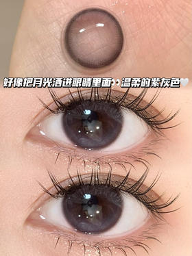 月光紫灰·半年抛型