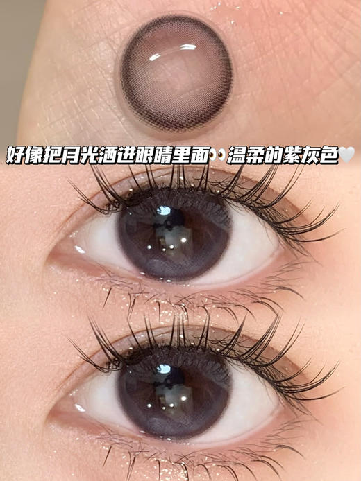 月光紫灰·半年抛型 商品图0