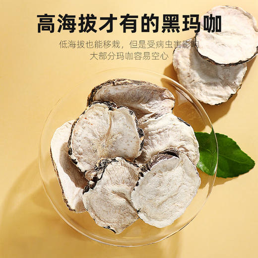 【杞里香云南丽江玛咖片500g】250g*2罐的干片果泡茶泡酒料玛卡 男女皆可食用  云南地道原产 肉质肥厚结实 商品图4