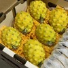 海南树熟冰糖燕窝果【6粒 2斤装】 商品缩略图1