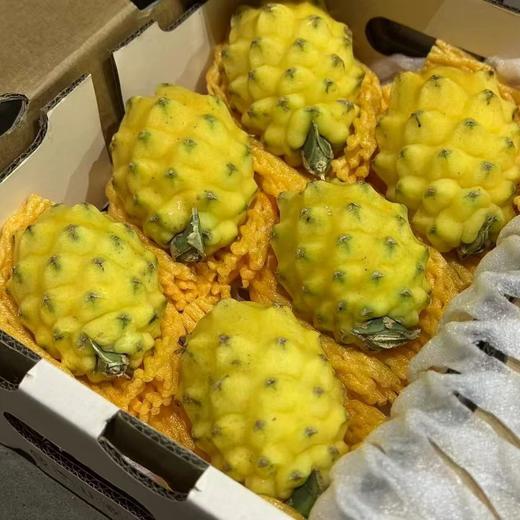 海南树熟冰糖燕窝果【6粒 2斤装】 商品图1