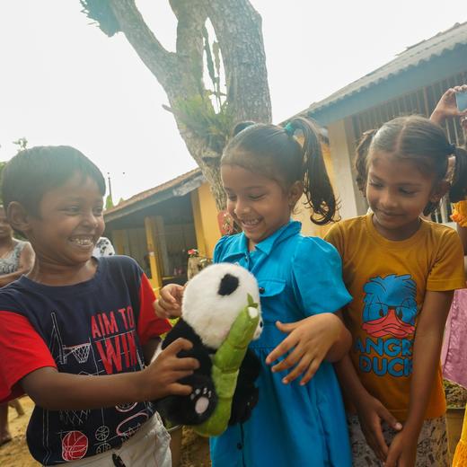 【暑假】何以锡兰，殖民印迹下斯里兰卡动物王国探险safari【灵迹】7天6晚 商品图3