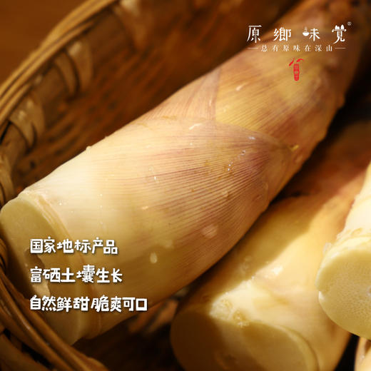 【排单发货中】天目山生态雷笋（基地直发-中通快递）|5斤装，来自浙江临安，采集者：潘新梅【合作生产，公平贸易】 商品图2