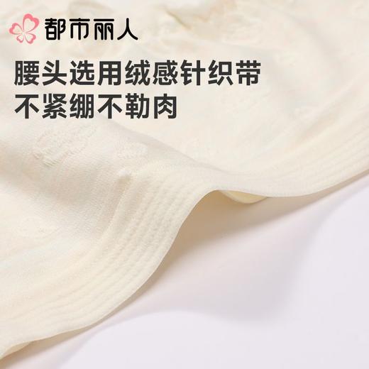 都市丽人内裤女士内裤棉提花内裤棉质内裤舒肤棉LKC3A2 商品图4