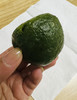 季节限定！清明团 ，纯手工现包，正宗新鲜艾草做青，咸甜都有。咸内馅：农家腌菜，新鲜春笋，豆腐干，土家猪肉！甜内馅儿：自熬豆沙，超细腻。来自春天的时令美味，过时不侯 商品缩略图5