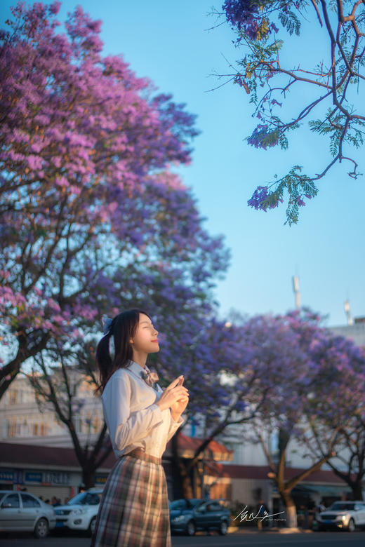 川西南花韵7天： 王岗坪贡嘎云海、邛海日落、西昌蓝花楹、会理古城、迤沙拉彝寨、攀枝花凤凰花 商品图4