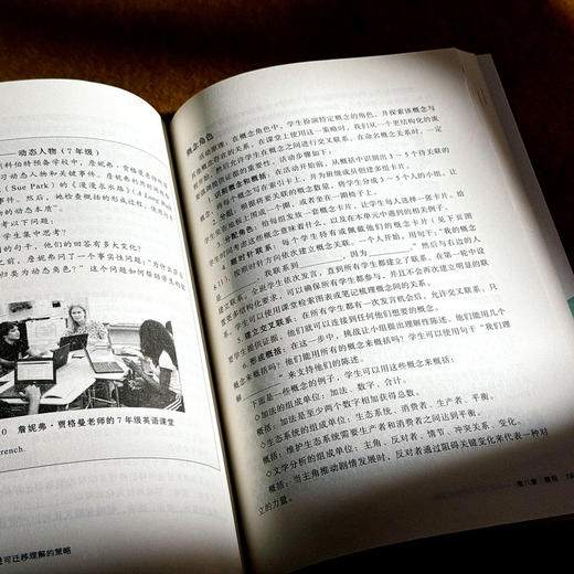 概念探究教学 促进可迁移理解的策略 大夏书系 培养学习力译丛 深度学习 商品图13