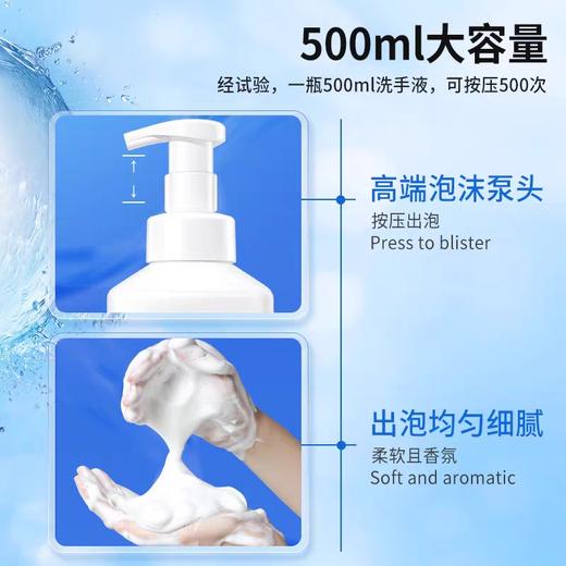 蔬果园茶香泡泡洗手液500ml 商品图1