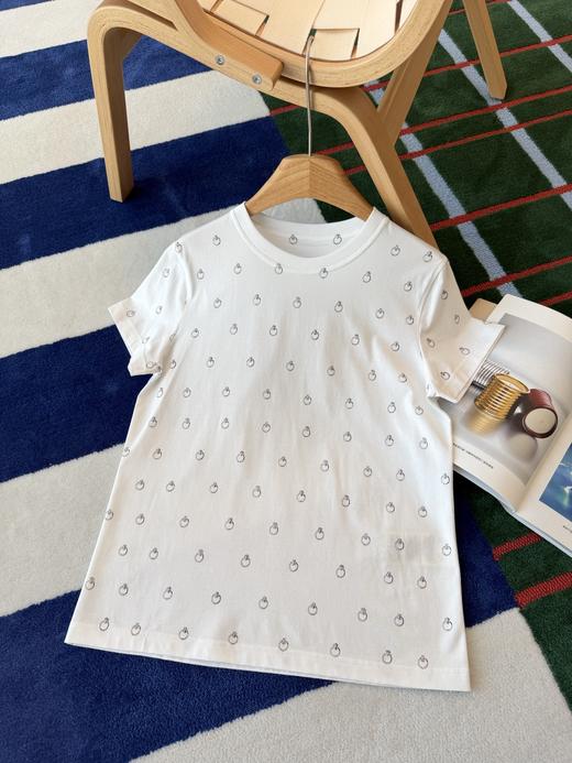 爱马仕 26Ss新款满印圆环T恤 商品图12