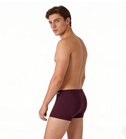 【天丝莫代尔】SCHIESSER德国舒雅男士薄款柔软亲肤天丝莫代尔中腰平角小裤单条装35/24174T 商品图1