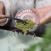 2026年早春浙江龙井500g（ 商品缩略图1