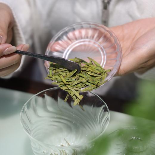 2026年早春浙江龙井500g（ 商品图1